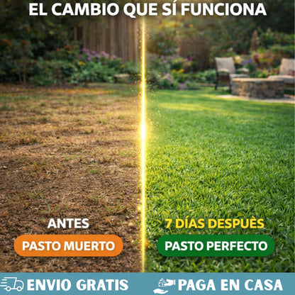 🌱Semillas de Pasto Autoreparable - Cubre hasta 15 m2