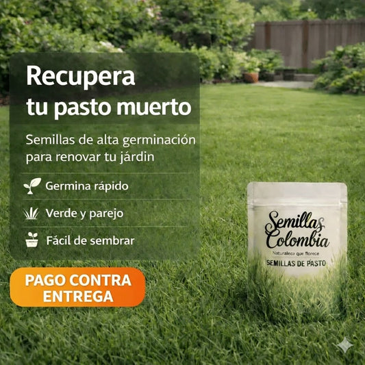 🌱Semillas de Pasto Autoreparable - Cubre hasta 15 m2